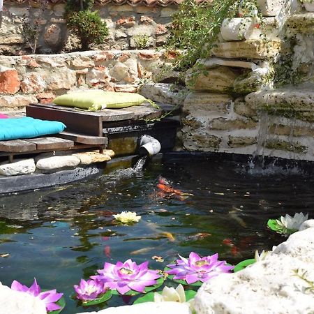 Boutique Villa Rosa Dei Venti Bałczik Zewnętrze zdjęcie