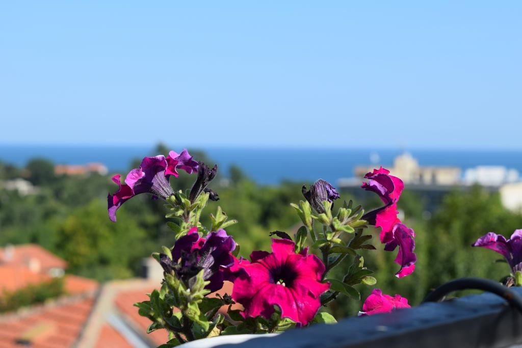 Boutique Villa Rosa Dei Venti Bałczik Zewnętrze zdjęcie